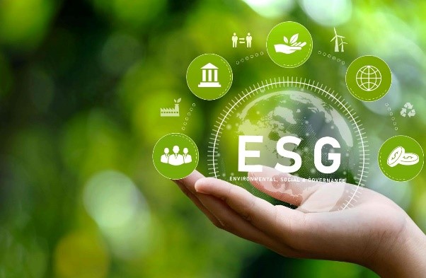 ESG Report & Implementation Support